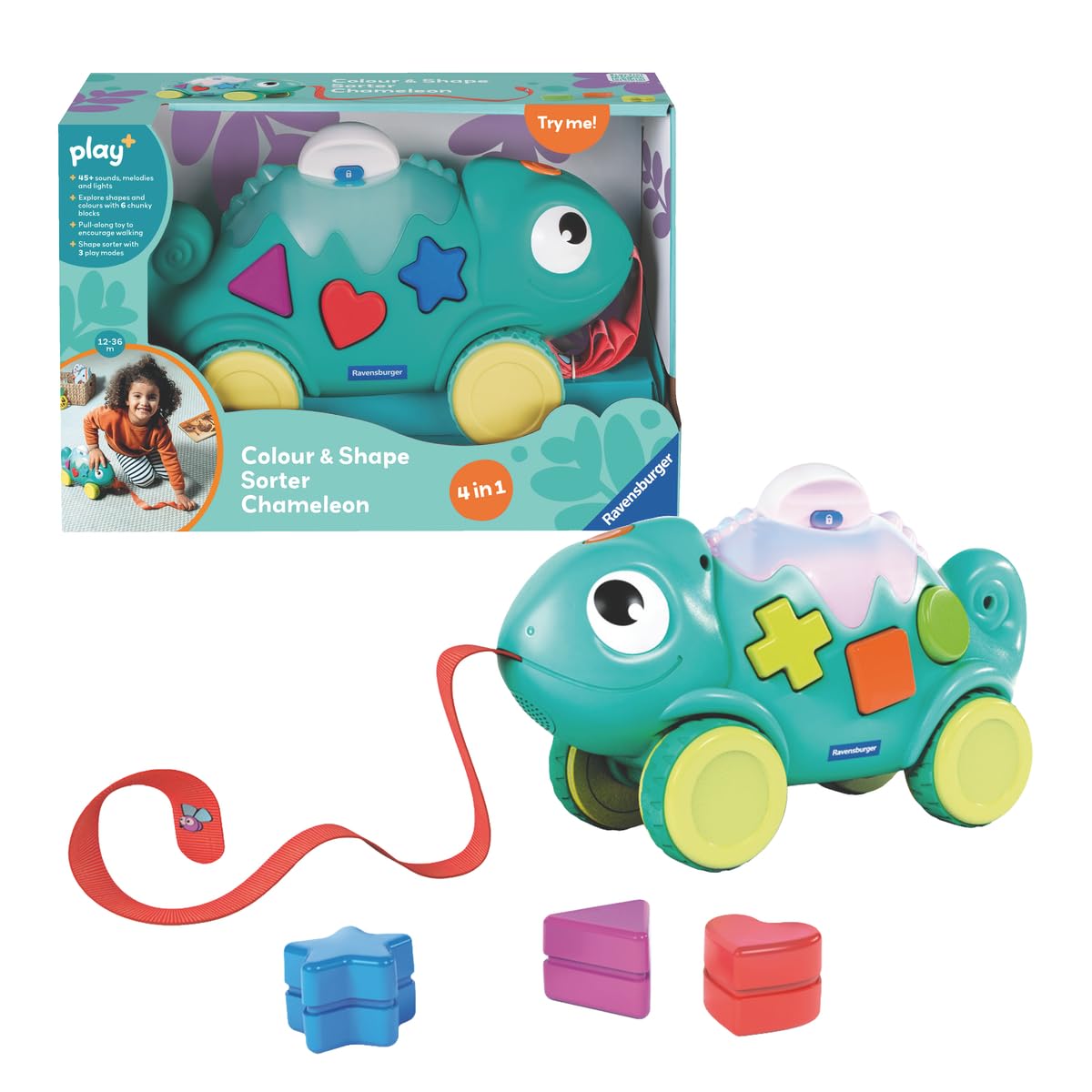 Amazon.com: Ravensburger Play+ Colour & Shape Sorter – Chameleon